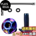 Litorange チタン合金製 ナンバープレートボルト 星型六角穴付きボルト ン ナンバーフレーム チタン合金製 防犯 盗難防止ネジ M6 2本セット(藍紫)