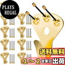 5WYOUKE 壁掛けフック 釘付き 10個入 耐荷重約34kg 強力 額縁展示用 画鋲フック ピンフック おしゃれ 大 目立たない フック 石膏ボード 木壁対...