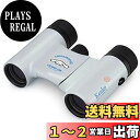 Kenko サンリオ双眼鏡 コンサート用 8倍 21口径 超軽量&超コンパクト レインプルーフ マルチコーティング シナモロール SK-CL0821CN