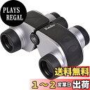 Kenko 双眼鏡 7x32 SG SWA WOP 7倍 131930(2)