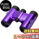 Kenko 双眼鏡 コンサート用 ウルトラビューH 8×21DH FMC ダハプリズム式 8倍 21口径 コンパクト フルマルチコーティング パープル(2)