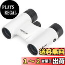 Kenko 双眼鏡 コンサート用 Classi-air クラッシーエアー 8×21DH ダハプリズム式 8倍 21口径 超軽量コンパクト マルチコーティング ホ...