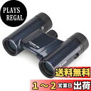 Kenko 双眼鏡 コンサート用 Classi-air クラッシーエアー 8×21DH ダハプリズム式 8倍 21口径 超軽量コンパクト マルチコーティング デ...