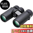 Kenko 双眼鏡 ウルトラビューEX コンパクト 10×32 倍率10倍 対物レンズ径32mm 370g軽量ボディ フルスペックプリズムシステム 6.7°広視...