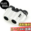 ケンコー(Kenko) コンパクト双眼鏡 ウルトラビューM コンパクト 8×20 8倍 20口径 ポロプリズム式 フルマルチコーティング 超軽量149g コンサート・ライブ・アウトドア用 ホワイト 012895