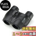 Kenko 双眼鏡 CERES GIV 6-20x18 ズーム式 6~20倍 コンパクト ブラック