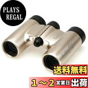 Kenko 双眼鏡 ウルトラビューH 10×21DH FMC ダハプリズム式 10倍 21口径 コンパクト 軽量190g フルマルチコーティング ライブ・コンサ...