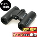 Kenko 双眼鏡 ウルトラビューH 10×21DH FMC ダハプリズム式 10倍 21口径 コンパクト 軽量190g フルマルチコーティング ライブ・コンサ...