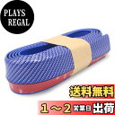 XSAJU アンダーリップモール リップスポイラー 車用 バンパー エアロ ガード カーボン柄 ビス付き 長さ2.5m 幅45mm (ブルー)