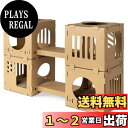 Navaris 猫 段ボール キャットタワー トンネル ベッド - つめとぎ ハウス キャットハウス 窓 組み立て - ネコ ウサギ 用