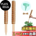 YOUSHY園芸支柱 観葉植物モンステラ ヘゴ支柱つる性植物 ココスティック 植物サポートフラワースタンド ココナッツ 花支え ガーデニング 農業用 園芸用 (...