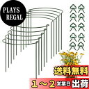 YOUSHY 支柱 園芸 10個セット 半形観葉植物 支柱 植物サポートリング 花ささえ 農業用 園芸用品 ガーデニング花支え支柱 (25cmx40cm)
