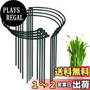 YOUSHY 支柱 園芸 8個セット 半形観葉植物 支柱 植物サポートリング 花ささえ 農業用 園芸用品 ガーデニング花支え支柱 (25cmx60cm)