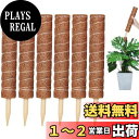 YOUSHY園芸支柱 観葉植物モンステラ支柱 ガーデニングつる性植物ココスティック支柱 観葉植物花支え 農業用園芸用(6個40cm支柱+2m麻縄)