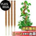 YOUSHY 園芸支柱 観葉植物モンステラ 支柱 ヘゴ支柱つる性植物 ココスティック支柱 植物サポート 維持水分 養分維持 ココナッツ支柱 ガーデニング支柱 農...