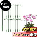 YOUSHY園芸支柱20本組セット花ささえ 観葉植物 支柱 花支え ガーデニング 支柱 ココスティック 支柱 農業用 家庭菜園 園芸用 (17CM)