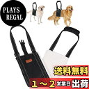 Loobani 犬 歩行補助ハーネス 胴体用 老犬 介護 年を取った 怪我 手術 快復中 病気 安全帯 手洗いok 通気性 抗菌消臭 脱着簡単 お出かけ便利 収納袋付き (安定性調整バックル付き(大型犬))