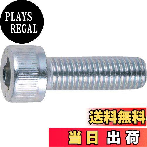 商品情報商品の説明説明 商品紹介 環境負荷の少ない三価クロメート品です。 ●環境負荷の少ない三価クロメート品です主な仕様 寸法(mm)d×L:M6×12強度区分:10.9JIS B1176規格品22本入質量(g):103.1 # TRUSCO(トラスコ) 六角穴付ボルト三価 白 全ネジ M6×12 22本入 B730-0612 自分のDIYや工作がスムーズにいかず、イライラした経験はありませんか？そんなあなたにピッタリのアイテムが、このTRUSCOの六角穴付ボルトです。特に、DIYを始めたばかりの人や、日常的に工具を使う方々には、このボルトが多くの悩みを解消してくれるかもしれません。品質に優れたボルトを選ぶことで、作業効率が向上し、悩みが解消されるのです。環境に配慮した三価クロメート仕上げで、さらに強度も抜群です。安心して使用できます。今すぐ、あなたの作業をサポートするこのボルトを手に入れて、充実したDIYライフを楽しみましょう。 ## 高品質の三価クロメート仕上げ TRUSCOの六角穴付ボルトは、環境負荷の少ない三価クロメート仕上げが施されています。この仕上げには、多くの利点があります。まず、三価クロメートは、通常の六価クロムと比べてはるかに毒性が低く、環境への影響が少ないため、安心して使用できます。加えて、この規格はJIS B1176に準拠しており、品質と安全性が保証されています。これにより、使用者にとって安心感が得られ、不安要素を減らすことができます。 ボルト自体の強度区分は10.9に設定されており、一般的な用途において十分な強度を持っています。例えば、軽い構造物や家具の組み立て、機械の固定など、多様な場面で使用可能です。これにより、広範囲にわたって使えるため、一本のボルトでさまざまなプロジェクトに挑戦できるのは大きなメリットです。 さらに、ボルトの寸法はM6×12、つまり直径6mmで長さ12mm。これも多様な用途に適しており、家庭の小さな修理から大きなプロジェクトまで幅広く対応を可能にします。20本以上入っているので、安価なコストで複数のプロジェクトを進めることもできます。必要な数だけ取り出して使えるため、ストックができ、いちいち買い足す必要もありません。このように、TRUSCOの六角穴付ボルトは、品質と多用途性を兼ね備え、あなたのDIYを支援する力強い味方となってくれるでしょう。 ## 多彩な用途 このボルトは、日常のDIYから工業用途、さらには趣味の模型制作まで、さまざまなシーンで活躍します。例えば、自宅での家具の組み立て、ガーデニングにおけるパーツの固定、さらには自転車やバイクのメンテナンスなど、多様な場面で力を発揮します。このように、一本あれば様々な用途に使えるので、コストパフォーマンスが非常に良いといえるでしょう。 特にDIYにおいては、ボルトの選択が仕上がりに大きく影響します。強度や耐久性、さらに環境への影響を考慮した場合、TRUSCOの六角穴付ボルトが理想的な選択肢になります。特に、環境に配慮した素材を使用している点が、エコ意識の高い方々には魅力的です。 また、ボルトは取り外し可能なため、一時的な固定にも適しています。例えば、家具の組み立て時に、最初は緩めにしたい場合など、簡単に取り外すことができます。このフレキシビリティも、DIYの現場では大きな利点です。 さらに、メーカーであるTRUSCOは信頼性の高いブランドで、業界内でも評価が高いです。この安心感が、新たにDIYを始める方々にも、安心して手に取ってもらえる理由となっているでしょう。高品質な材料と専門的な技術が融合したTRUSCOの製品は、あなたの手助けをしてくれること間違いありません。 ## 簡単な取り扱いと保管方法 TRUSCOの六角穴付ボルトは、簡単な取り扱いが特徴です。六角穴が付いているため、専用の六角レンチを使用すれば、力を無駄に使うことなく簡単に取り付けることができます。また、ボルトのサイズも扱いやすく、寸法がM6×12であれば、多くの工具で対応可能です。初めてボルトを使う方でも、安心して導入できます。 ボルトを使用した後は、適切な保管が重要です。特に、湿気が多い環境では錆が発生する可能性があるため、乾燥した場所に保管することをおすすめします。プラスチックケースや金属製のボックスに収納すると、ボルトの劣化を防ぎ、長期間の使用が可能になります。 さらに、取り扱いの際は手袋を着用することを推奨します。ボルトの表面が滑りやすい場合もあるため、手袋をつけることで安全に取り扱えます。特に小さなボルトを扱う際には、こうした工夫が作業の精度を高め、事故を防ぐ効果があります。また、点検を行い、損傷しているボルトは早めに交換することが、安全な作業環境を保つポイントです。 このように、TRUSCOの六角穴付ボルトは、使用のしやすさと保管方法の工夫が施されており、安心して長くご使用いただけるアイテムです。さあ、あなたもこのボルトの便利さを実感してみませんか。 ## まとめ - TRUSCOの六角穴付ボルトは品質と信頼性が高い - 三価クロメート仕上げで環境に優しい - 多様な用途に対応しコストパフォーマンスが良い - 簡単な取り扱いと保管方法で初心者でも安心 - DIYや工作において強力なパートナーとなる このボルトを手に入れることで、日常の作業がよりスムーズになり、充実したDIYライフが実現します。ぜひお試しください！