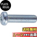 トラスコ中山(TRUSCO) ナベ頭小ねじ ユニクロ 全ネジ B010610 M6×10 100本入 x 10パック x 【ケース販売】