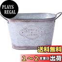ベストコ 鉢 オーバル ポット S 小物入れ プラカップ付 水抜き穴 ブリキ NE-732 フラワーズガーデン