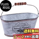 ベストコ(Bestco) 鉢 オーバル ポット S 小物入れ プラカップ付 水抜き穴 ブリキ NE-752 ファーマーズマーケット