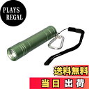 【送料無料】エルパ (ELPA) LEDカラー懐中電灯 防水 100ルーメン 連続点灯約15時間 グリーン DOP-EP302