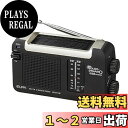 エルパ (ELPA) ソーラーダイナモラジオ アウトドア 充電 ソーラー ER-DY10F