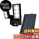 エルパ (ELPA) ソーラー式 センサーライト 2灯 (白色LED/防水仕様) 屋外 センサーライト 足元 (ESL-312SL)