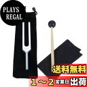 Dreld 528Hz 音叉、チューナー、ラバーマレット 収納ポーチ付き、浄化、天使の音色、ヒーリング