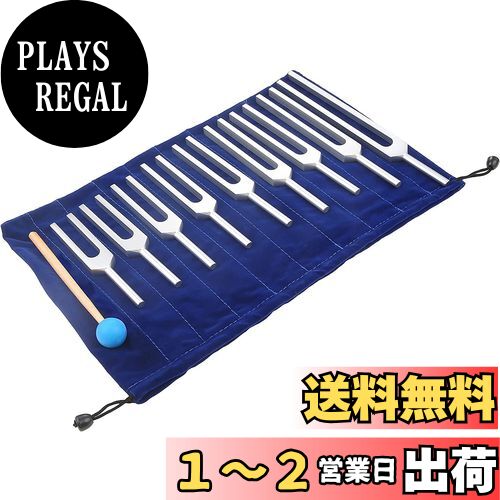 Dreld 音叉セット サウンドヒーリング治癒療法のセラピーツール 9個 174/285/396/417/528/639/741/852/963HZ シリコンハンマーとバッグ付き 振動 楽器 シルバー