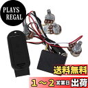 Yibuyプリアンプサーキット 2バンド ベースピックアップ アクティブ デュアルポテンショメータ