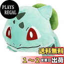 三英貿易(Sanei Boeki) ポケットモンスター ALL STAR COLLECTION フシギダネ (M) W18×D26×H19cm ぬいぐるみ ポケモン PP118(3)