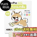 WICKEDPUP ワンちゃんの靴、48枚入、6色ミックス、XS | 犬用靴下、滑り止め、滑らない | ペット用くつ、足舐め防止 | 猫用くつした、脱げない |...