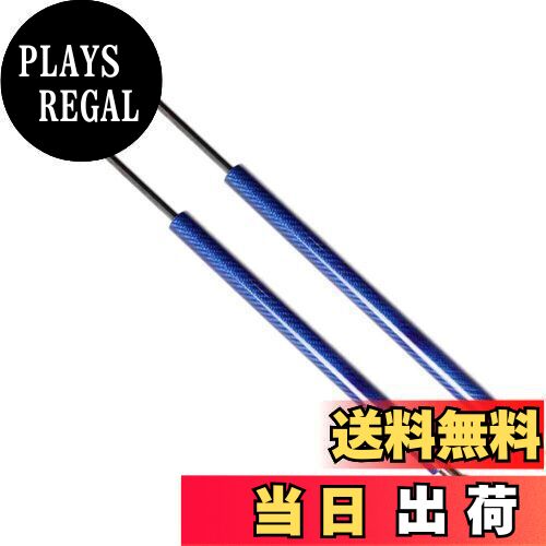 XIANGSHANG スカイライン GT-R GTR R34 純正スポイラー付 リアゲートダンパー H4430-AA400 H4430AA400 バックドアダンパー リアハッチダンパー トランクダンパー 車検対応 交換用品 サポートダンパー 2本組 青カーボン [並行輸入品]