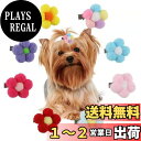 Hitasi ペットヘアピン 犬 猫用髪飾り ペット用ヘアクリップ 8枚セット ヘアボールヘアピン ペット用 前髪クリップ 可愛い 花 着脱簡単 雰囲気 飾るク...