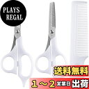 【送料無料】貝印(Kai Corporation) セルフ用 散髪セット(カットハサミ、スキハサミ、クシ) 散髪 ハサミ ヘアカット カットはさみ (美容師監修マニュアル付) セット品 3個アソート