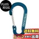 TITECOUGO カラビナ 小 おしゃれ アルミ Dリング キーチェーン スナップ アウトドア キーホルダー 釣り 登山 ハイキング キャンプ 旅行小物 シルバー ストラップ ブラック 鍵掛け 生活雑貨 ピーコックブルー 10個