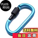 【送料無料】TITECOUGO アウトドア カラビナ 登山 おしゃれ Dフック 頑丈 スナップフック ?スリング ブランコ ミリタリー ハンモックテント ?キャ...