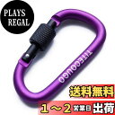 TITECOUGO アウトドア カラビナ 登山 おしゃれ Dフック 大型 頑丈 スナップフック ?スリング ブランコ ミリタリー ハンモックテント ?キャンプ キーホルダー 釣り 車 タープ 接続 hooks カナビラ ?紫 4個