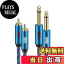 【送料無料】EMK 6.35mm rca 変換ケーブル Rca フォン モノラル ケーブル 2 xRCA-2 x 6.35mm フォンプラグ TSステレオオーディオ分配アダプターケーブル AVレシーバー、スピーカー、アンプ、ホームシアターシステム等に適用(2M)