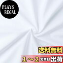 日本紐釦貿易(Nippon Chuko) NBK エイティスクエア 無地 生地 綿100% シャーティング ケイコウサラシ 白系 巾約110cm×50cm切売カット KD4630-151-50CM(3)