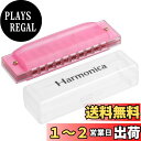PATIKIL クリア 多彩 半透明 ハーモニカ 10ホール ピンク ABS ハープ口 PVCボックス付き 楽器初心者 教育 大人 プロ