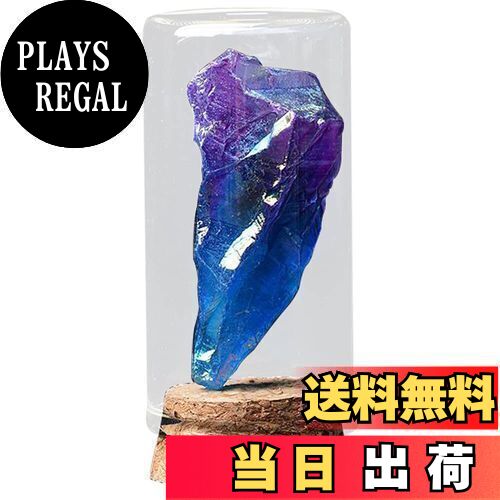 HIGHAWK 岩石標本 天然石 ガラスカバー 鉱石 防塵 置物 オーナメント ガラス瓶 展示 標本ボックス テーブル コレクション 地質科学 装飾品 小物（カラフルクリスタル・バックボーン型M）