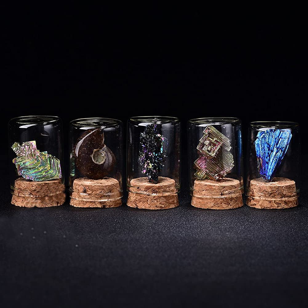 HIGHAWK 岩石標本 天然石 ガラスカバー 鉱石 防塵 置物 オーナメント ガラス瓶 展示 標本ボックス テーブル コレクション 地質科学 装飾品 小物(ホワイトメッキ)