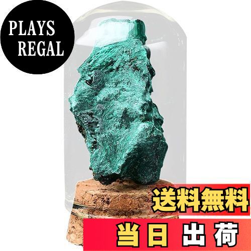 HIGHAWK 岩石標本 天然石 ガラスカバー 鉱石 防塵 置物 オーナメント ガラス瓶 展示 標本ボックス テーブル コレクション 地質科学 装飾品 小物（マラカイトS）