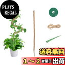Mcbazel 観葉植物支柱 120CM 園芸用支柱 曲げ可能 観葉植物・モンステラ・ココナッツ・つる植物支柱 ガーデニング用具 7MM幅 コイアポール成長用 維持水分・養分維持・農業・ 園芸用