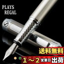 Scriveiner ステンレス鋼万年筆 - 驚くべき高級ペン鋼仕上げ、シュミット鋼ペン先 (中)、男性&女性、プロフェッショナル、エグゼクティブオフィスのための最高のペン ギフトセット、素晴らしいデザイナーペン