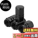 Itisyou エアバルブキャップ タイヤバルブキャップ 車 バルブキャップ エアーバルブキャップ 4個入り
