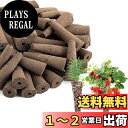 【送料無料】Itisyou 水耕栽培 スポンジ すいこう栽培 スポンジ 水耕栽培スポンジ 保育ブロック 無土壌栽培 ガーデン用品 50個入り