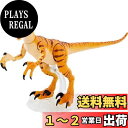 マテル ジュラシックワールド(JURASSIC WORLD) アンバーコレクション ヴェロキラプトル 【8歳~】 GWP85
